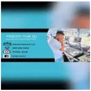 Priddy The DJ – Amapiano Mix 01