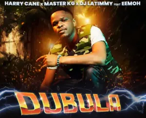 MP3 DOWNLOAD: HarryCane, Master KG & DJ LaTimmy – Dubula (Remake) Ft ...